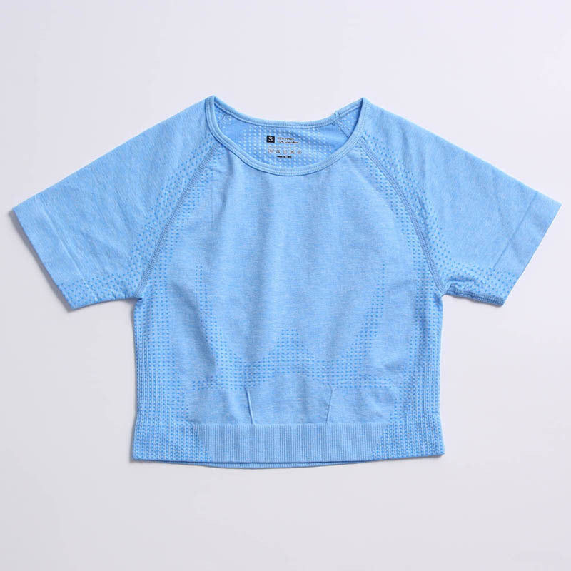 Lavi Gym Tops – Short Sleeves Blue short sleeve